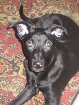 Копия Изображение 320.jpg