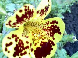 Изменение размера 062908155127.jpg