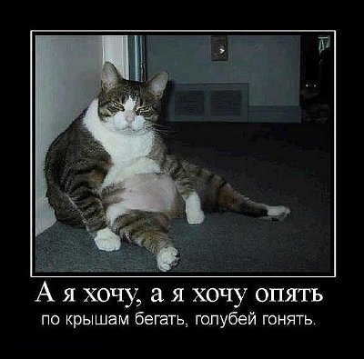 а я хочу...jpg