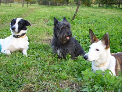 А тут даже Дуська есть.JPG