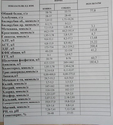 Биохимический анализ крови1.JPG
