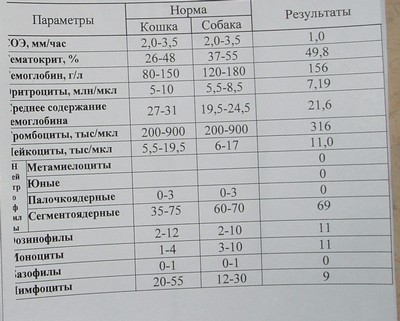 Общий клинический анализ крови1.JPG