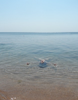 Золотой2.JPG